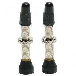 Stans NoTubes Universal Valve