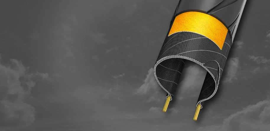 Schwalbe E-One Evolution 2 Schwalbe E-One Evolution - Image 2