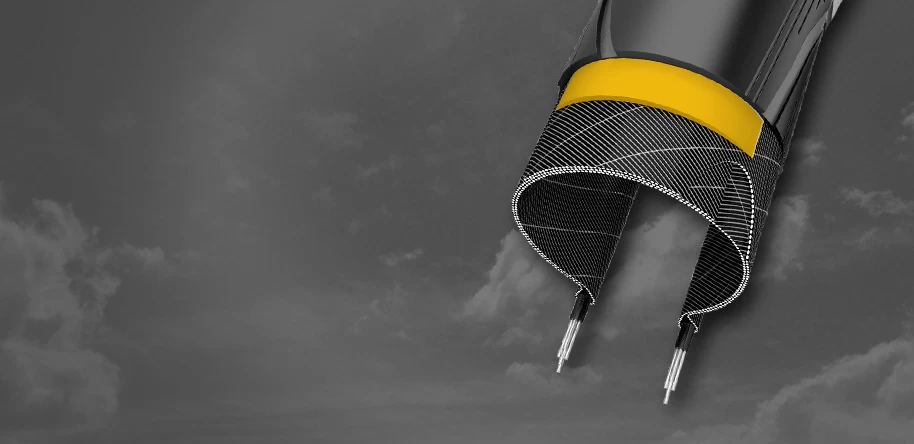 Schwalbe Lugano II 2 Schwalbe Lugano II - Image 2