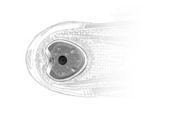 Sidi Alba 2 -Cycling Protection & Components Shop 72271 sidi alba 2