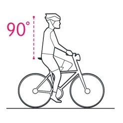 Selle Royal Avenue Relaxed -Cycling Protection & Components Shop 72397 selle royal avenue relaxed