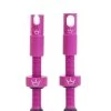 Peaty´s Chris King MK 2 Tubeless Valves - Punch